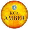 AMB